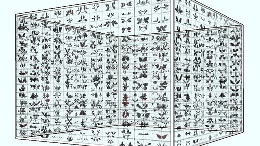 Nadim Kufi