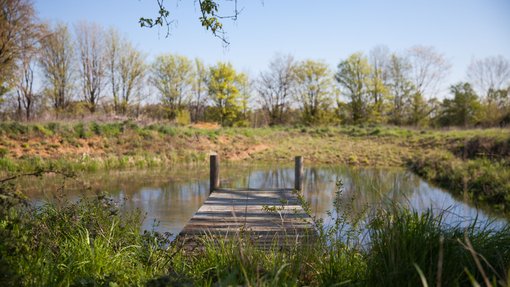 image of nature and outdoors