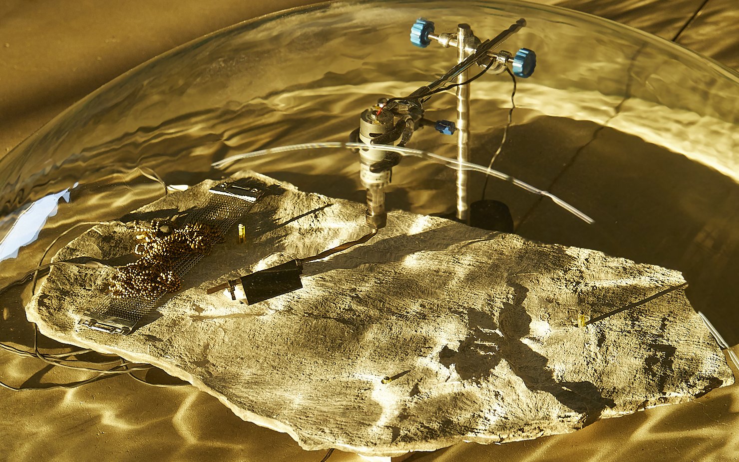 202502_Hangar Biccoca (Milan) Waters' Witness ©Rasa Juskeviciute 5  copy