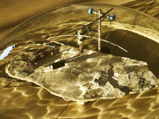 202502_Hangar Biccoca (Milan) Waters' Witness ©Rasa Juskeviciute 5 copy