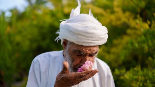 Burair Ali Alkishri_The Rose