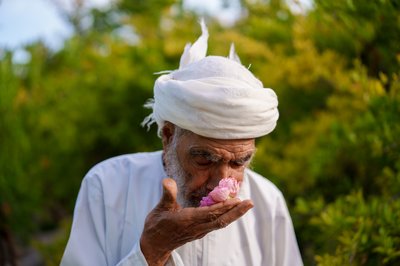 Burair Ali Alkishri_The Rose