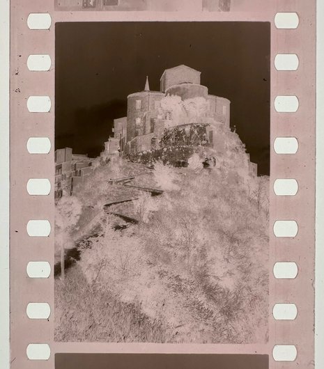 Image: ©️France Scully Osterman and Mark Osterman_35mm Gelatin Negative