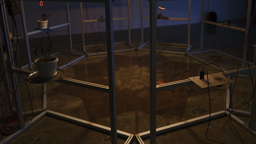 Haroon Mirza, Musica Universalis (Dyson Sphere 03), Photovoltaic panels, aluminium, stainless steel, halogen lighting, bespoke media devices, DMX dimm