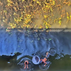 Bahaaeldin Elgamal_Catching Mussels in Nile River