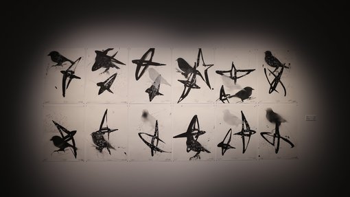 Aissa Deebi Exhibition