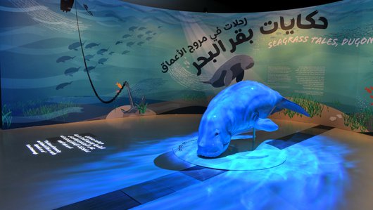 Curator-led Exhibition Tours Sea grass Tales, Dugong Trails