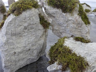grey rocks with plants