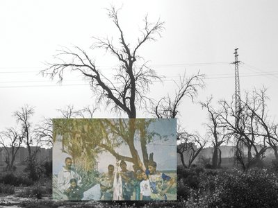 El Mehdi Kharbouch_Remnants of a Picnic