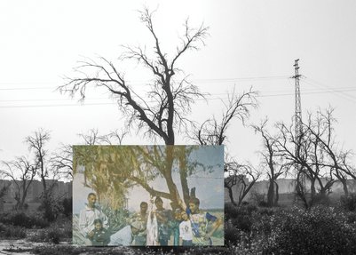 El Mehdi Kharbouch_Remnants of a Picnic