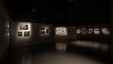 Hasan Zaidy - Courtesy of Qatar Museums, 2025