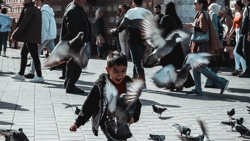 Mahmut Dahil Photowalk - Pigeons