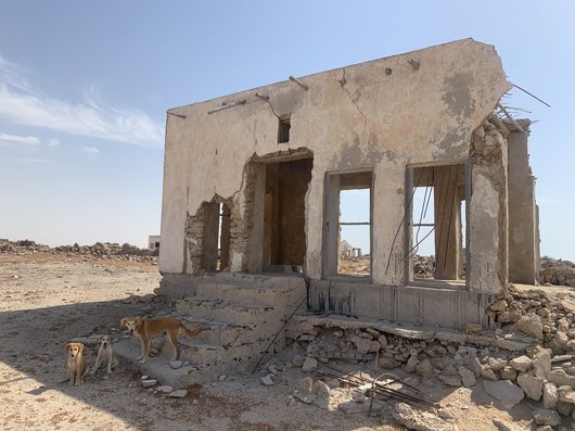 Image Courtesy of Qatar Museums Authority (Archaeology Department)