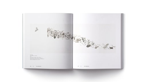 كتاب مفتوح يعرض صفحاتٍ تحمل رسمًا رماديًا لطيورٍ مختلفةٍ تحلق على خلفيةٍ فاتحة. تظهر أسطرٌ نصيةٌ أسفل الصورة.