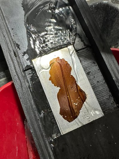 Image: ©️France Scully Osterman and Mark Osterman_Making a Heliograph