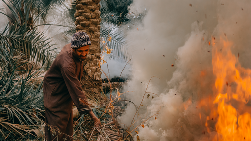 2022 Single Image Awards