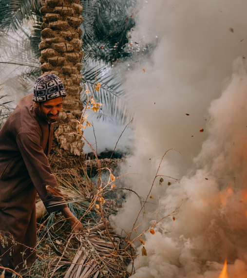 2022 Single Image Awards