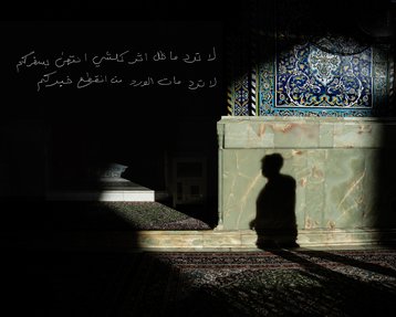 مصطفى الشامي