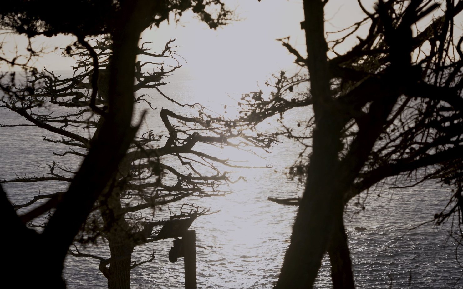 Workshop | Place as Narrative: Film, Video, and New Media Art with Leena Kim