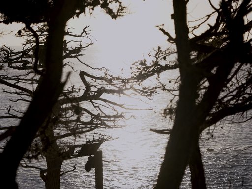 Workshop | Place as Narrative: Film, Video, and New Media Art with Leena Kim
