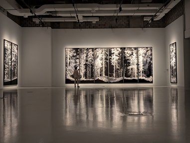 A large scale black and white nature print in an exhibition