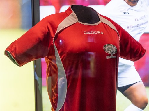 Red Palestinian Football Association shirt.