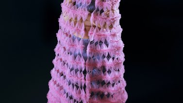 Model posing in a purple dress