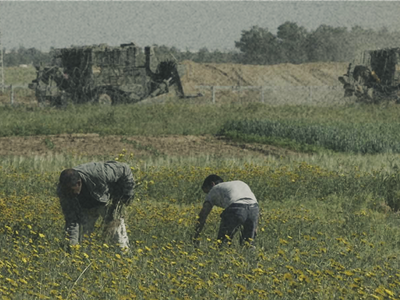 people working in a farm