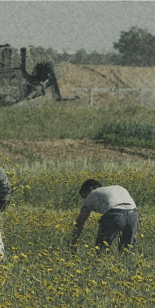 people working in a farm