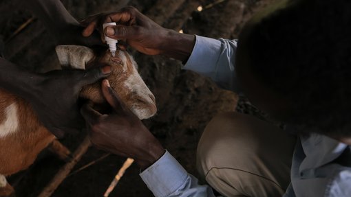 Wadah Omer_Weaving the Earth