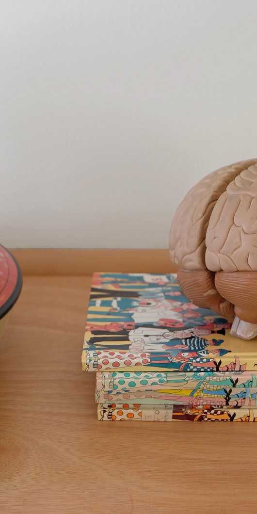 An assortment of old children's toys and books.