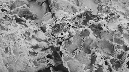 Hamad Jassim Alfayhani