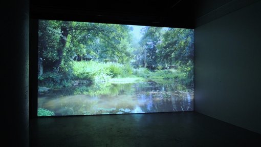 Amentia Siard Brochard