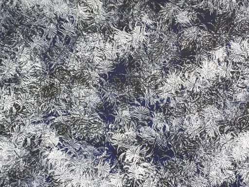 Painting by artist Ilona Lenard