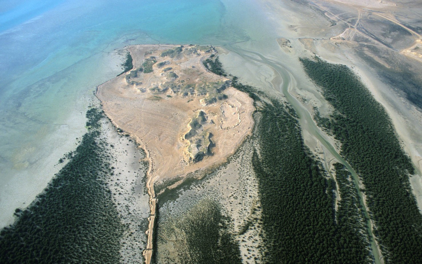 An aerial view of the Jazirat bin Ghannam Island surrounded by mangroves