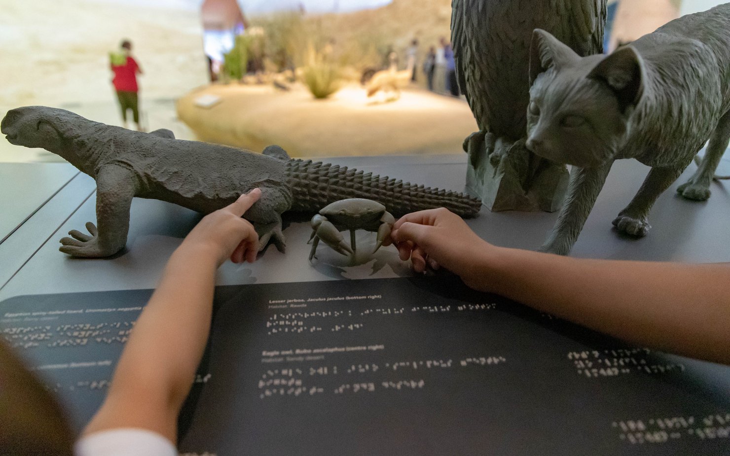 Children reaching out and touching tactile stations with braille and textures at NMoQ