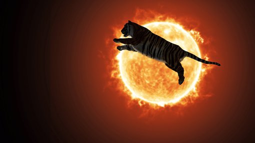 A tiger leaps across a burning sun.