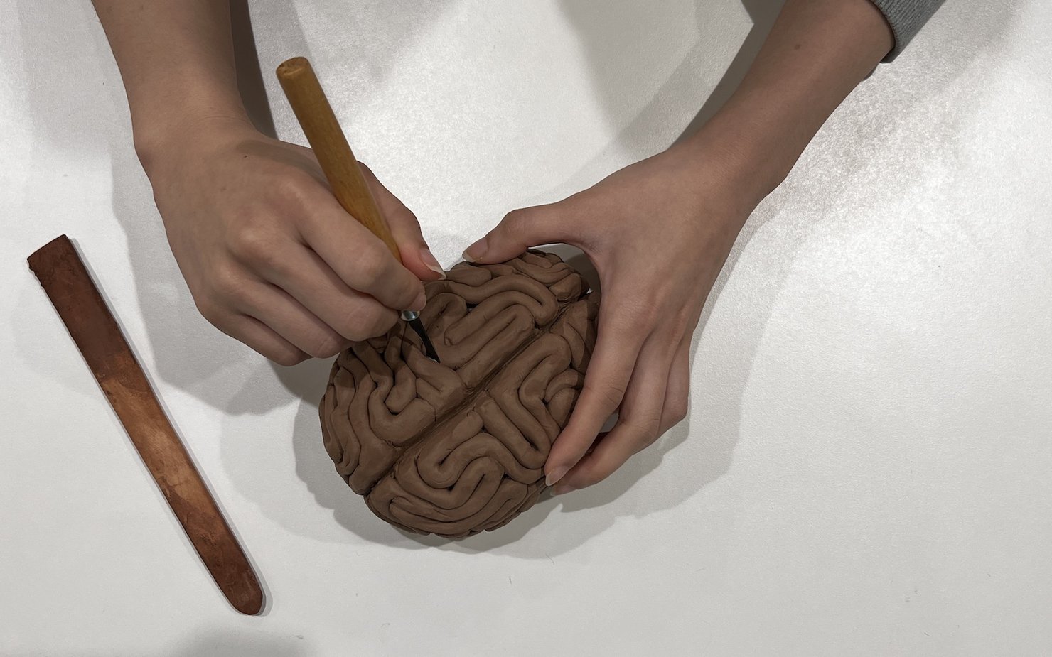 Clay carving of a human brain