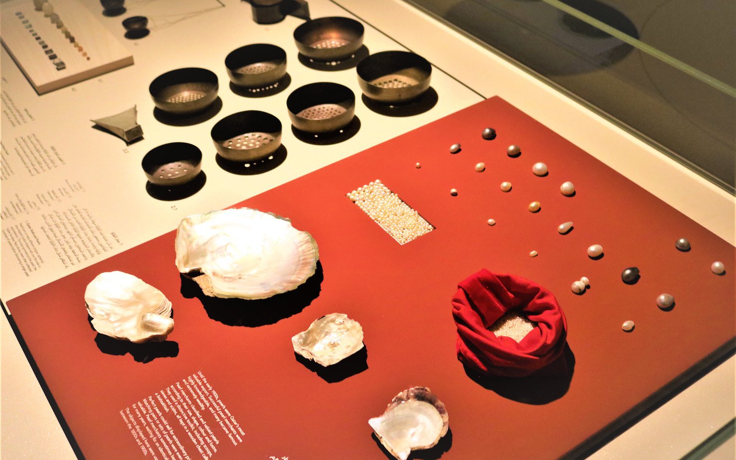 Display of a variety of pearls and oyster shells