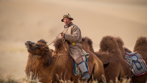 A man wearing a hat is riding a camel, behind him several camels follow