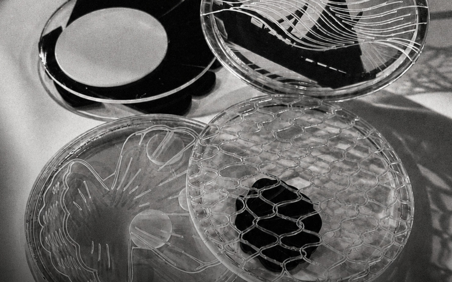 Workshop | Tracing Memory: From Observation to Material