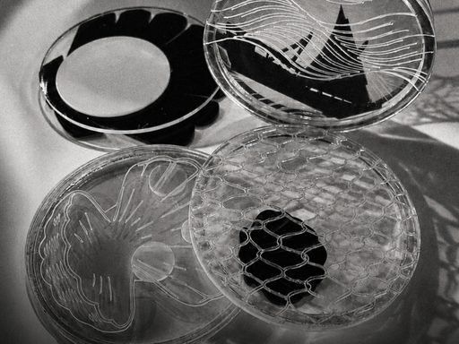 Workshop | Tracing Memory: From Observation to Material